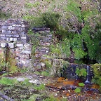 DSCN9048
