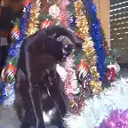 samantha arbol de navidad