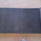 IMAG0685