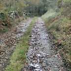 IMG_20231112_165035