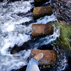 DSCN9743