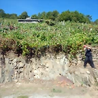 DSCN0471