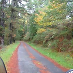 DSCN5725