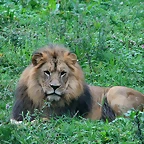 Zoos Wuppertal, Dortmund y Gelsenkirchen 01-10-09 206