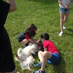 DSCN8339