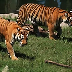 Argentina 2010 4402