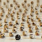 garbanzo negro