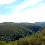 DSCN8356