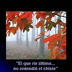 Diapositiva11