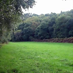 DSCN5290