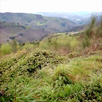 DSCN4340