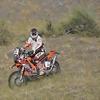 SDC10228