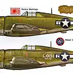 profile_P-47_2_with_348th