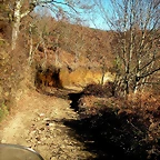 DSCN2280