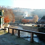 DSCN6753