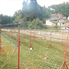 DSCN8887