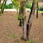 080-IMG_3650