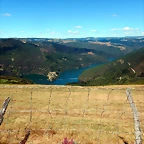 DSCN4595