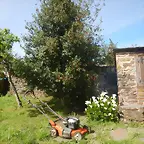 DSCN2043