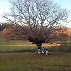 DSCN5821