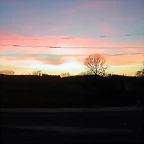 DSCN5846