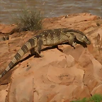 Johannesburg Kruger març 2009 1139