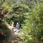 Pulpada 2010 081
