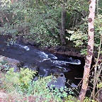 Pulpada 2010 074