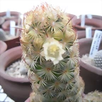 SAM_1349