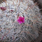 SAM_1348