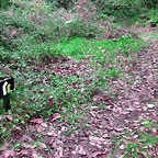 DSCN6275