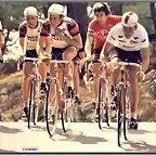 PARIS NICE-1978-ZOETEMELK-HINAULT