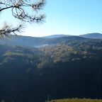 46-IMG_4288