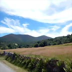 DSCN8262