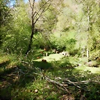 DSCN0048