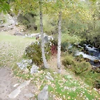 DSCN2093