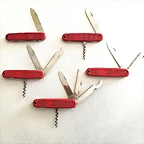 Serie Safari