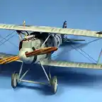 Pfalz C1