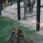 Zoo de Barcelona 18-10-10 844