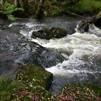 DSCN5778