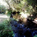 DSCN9723