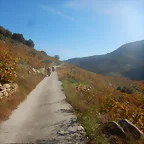DSCN4653