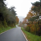 DSCN0970