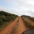 DSCN6464