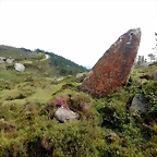 DSCN5762