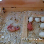 CIMG1429
