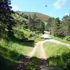 DSCN4870