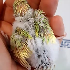 20190704_145759