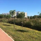 Video Hugo IG Stories 3-5-2017 (4)