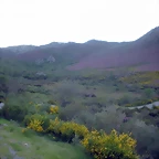 DSCN5164